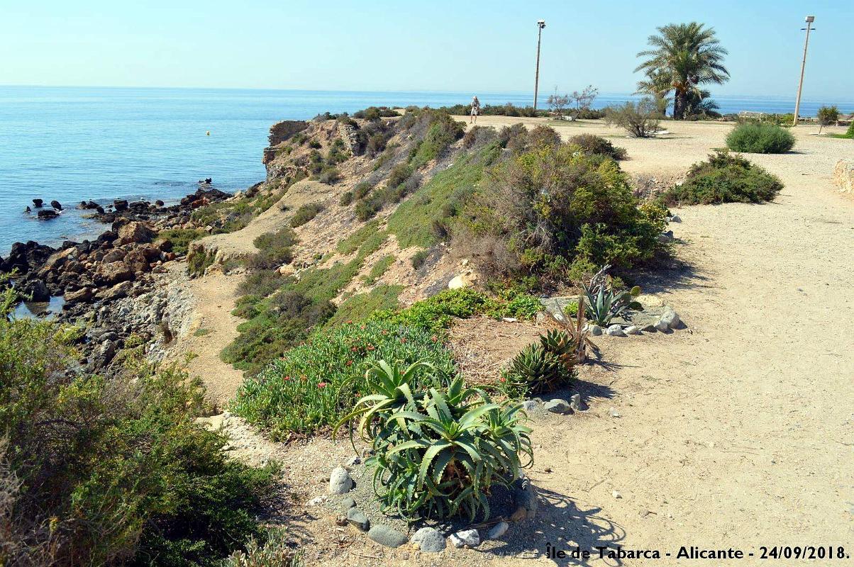 21 ALICANTE L ILE DE TABARCA (79).JPG